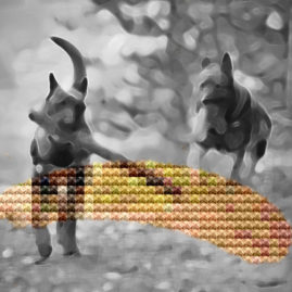 Cani Kreustichmuster