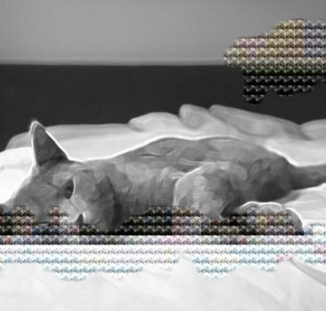 Kreustichmuster Gatto