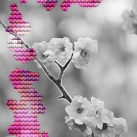 Crine Pattern Letter