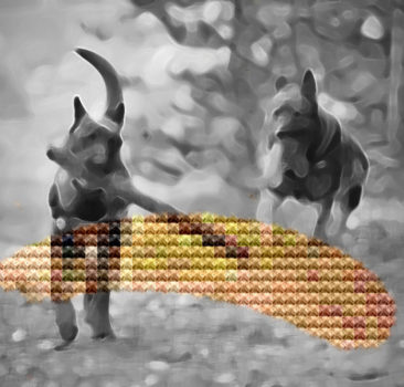 Kreustichmuster Hunde