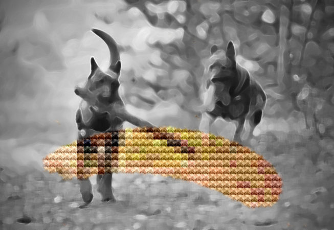 Cani Kreustichmuster