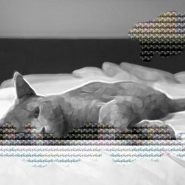 Kreustichmuster Cat