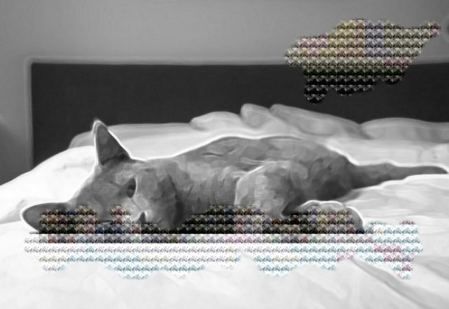 Kreustichmuster Cat