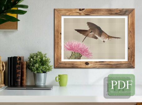hummingbird-design