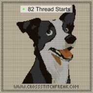 border-collie cross stitch start point map with highlighted thread start positions in the full design