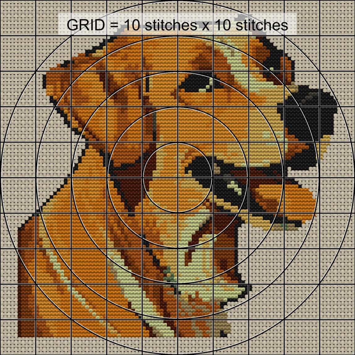 labrador-redriver close-up cross stitch detail showing color changes, confetti areas and stitch texture