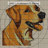 labrador-redriver close-up cross stitch detail showing color changes, confetti areas and stitch texture