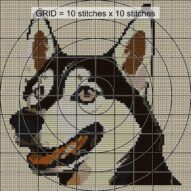 siberian-husky close-up cross stitch detail showing color changes, confetti areas and stitch texture