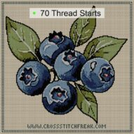 blueberry-cluster cross stitch start point map with highlighted thread start positions in the full design