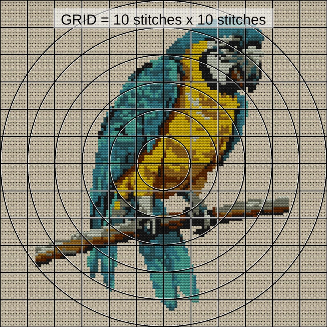 macaw-parrot close-up cross stitch detail showing color changes, confetti areas and stitch texture