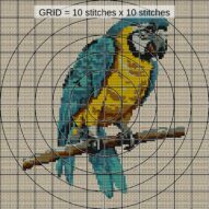 macaw-parrot close-up cross stitch detail showing color changes, confetti areas and stitch texture