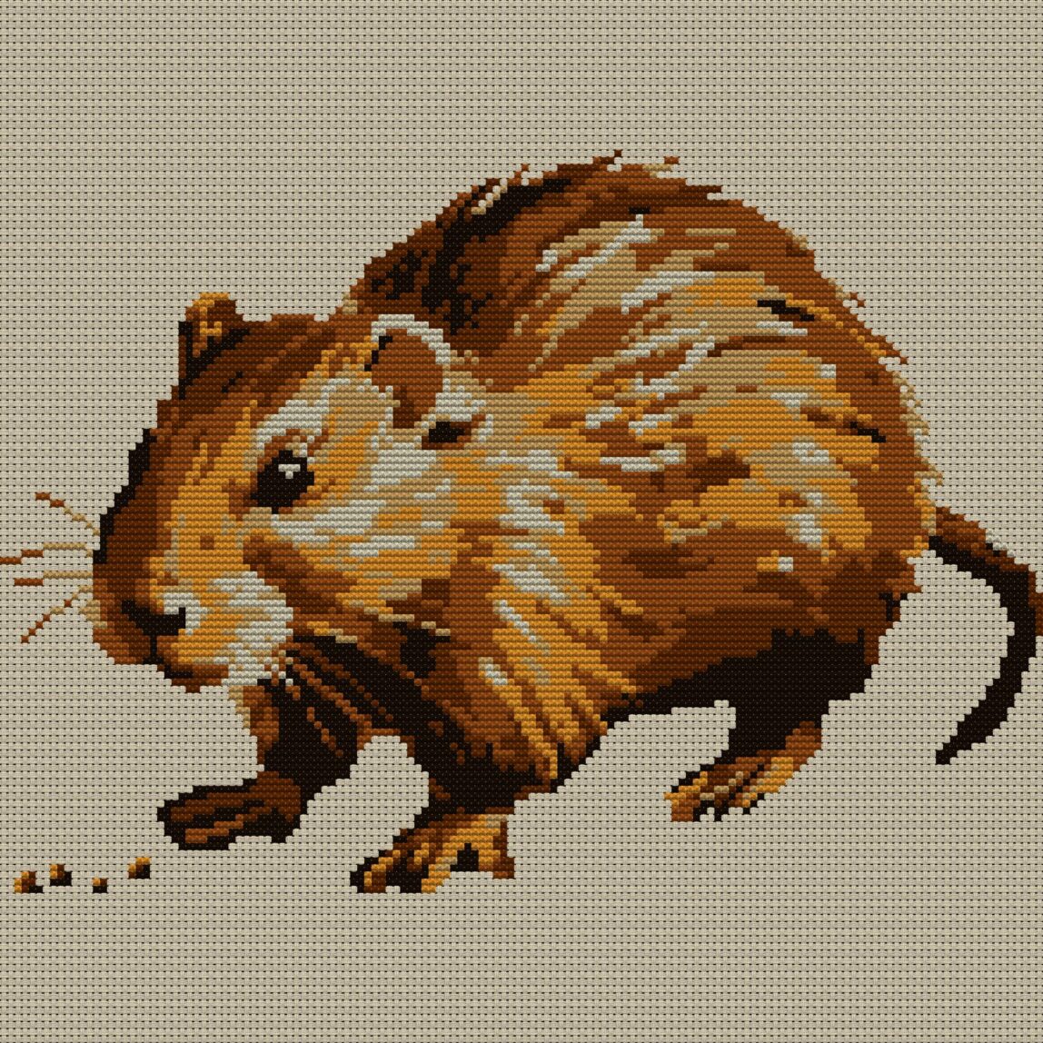 muskrat-seeds full design mockup without frame muskrat-seeds full cross stitch design mockup without frame, realistic embroidery preview
