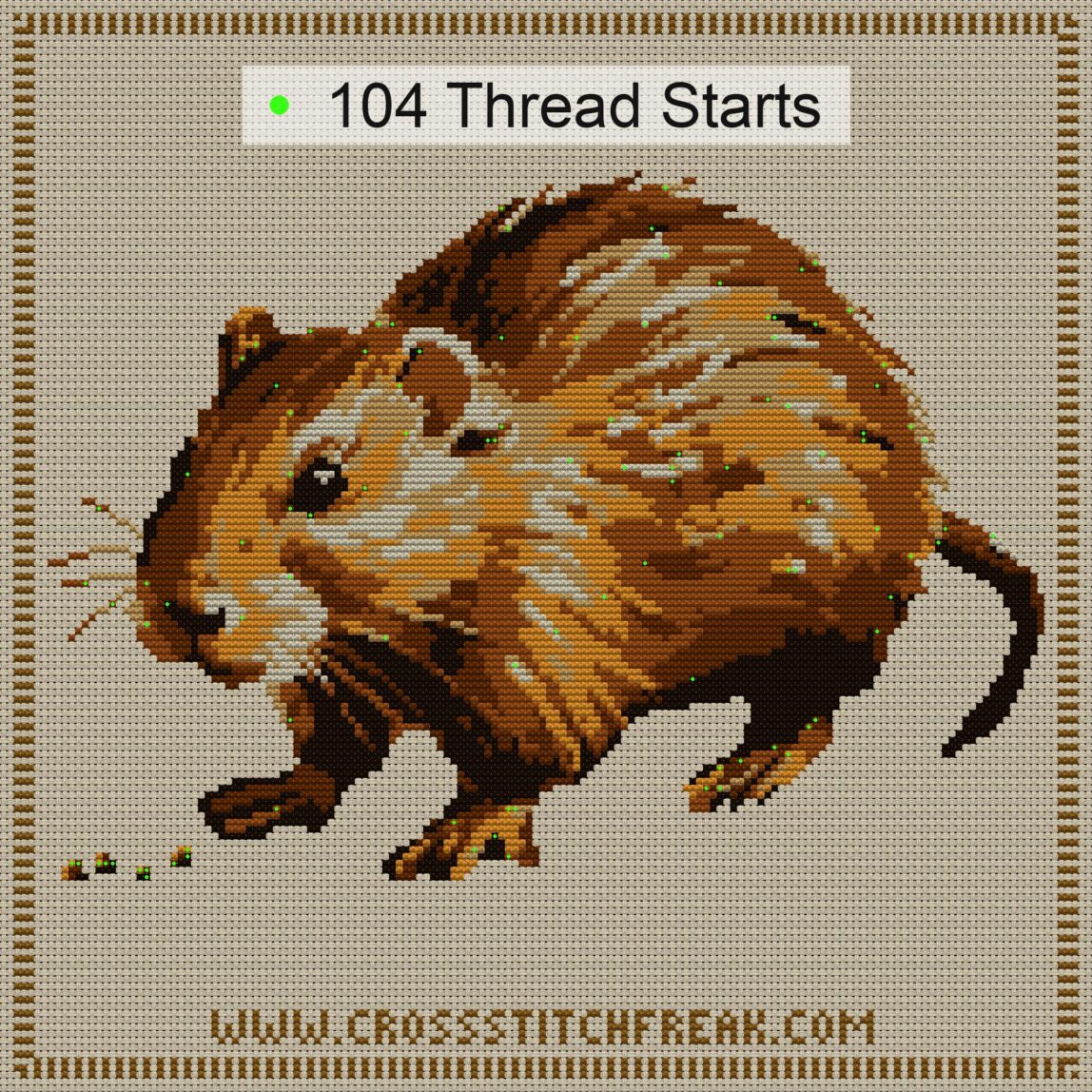 muskrat-seeds thread start point map muskrat-seeds cross stitch start point map with highlighted thread start positions in the full design