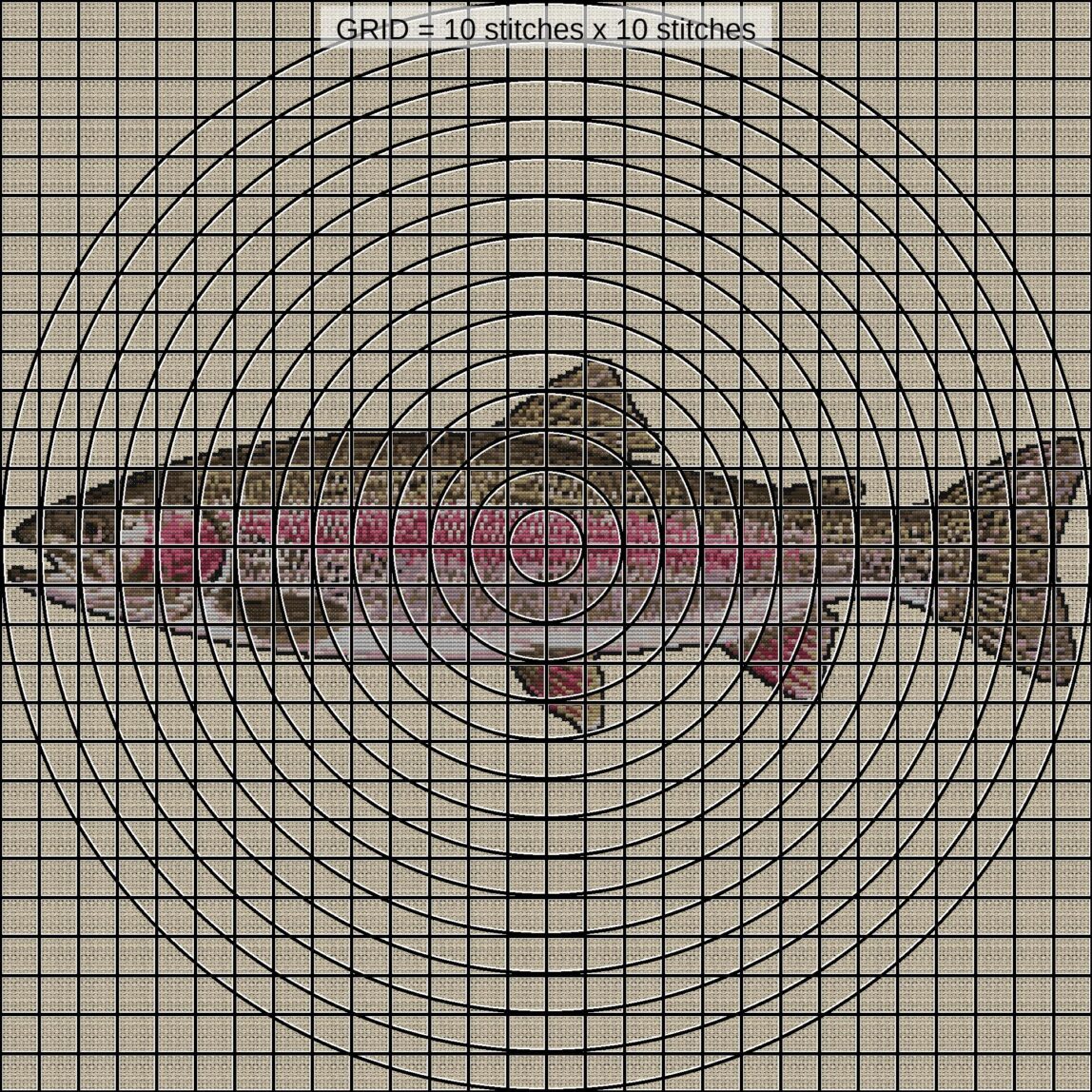 rainbow-trout-oncorhynchu close-up cross stitch detail showing color changes, confetti areas and stitch texture