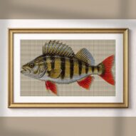 european-perch-perca-fluv alternative framed cross stitch mockup, realistic finished embroidery presentation