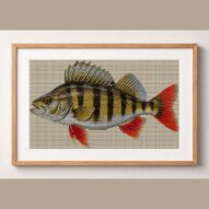 european-perch-perca-fluv framed cross stitch mockup, realistic finished embroidery design, PDF pattern digital download