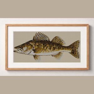 zander-sander-lucioperca framed cross stitch mockup, realistic finished embroidery design, PDF pattern digital download