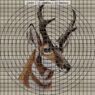 pronghorn-antilocapra-ame close-up cross stitch detail showing color changes, confetti areas and stitch texture