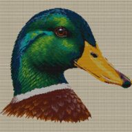 mallard-anas-platyrhyncho full cross stitch design mockup without frame, realistic embroidery preview