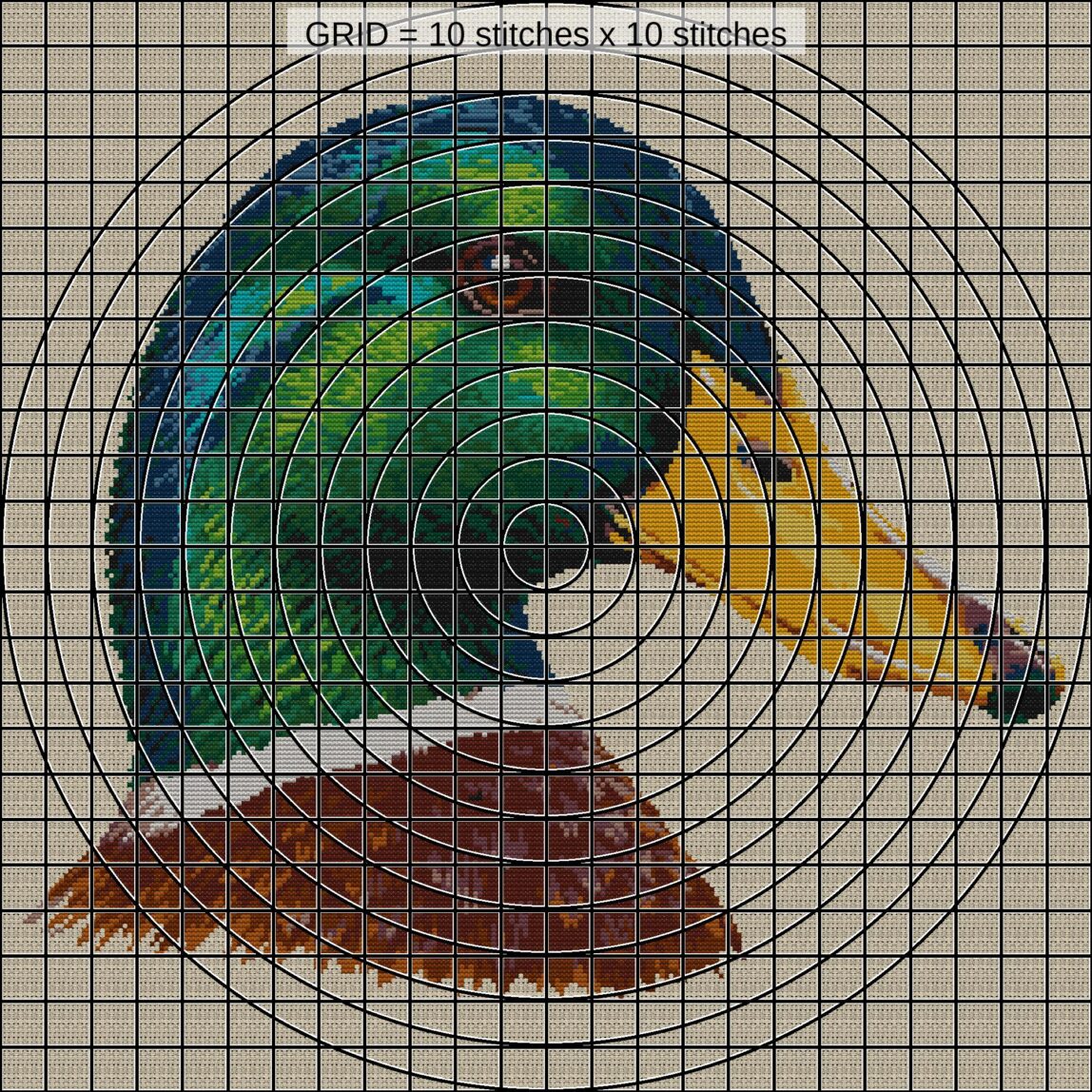 mallard-anas-platyrhyncho close-up cross stitch detail showing color changes, confetti areas and stitch texture