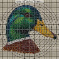 mallard-anas-platyrhyncho close-up cross stitch detail showing color changes, confetti areas and stitch texture