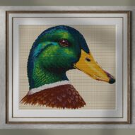 mallard-anas-platyrhyncho alternative framed cross stitch mockup, realistic finished embroidery presentation