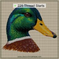mallard-anas-platyrhyncho cross stitch start point map with highlighted thread start positions in the full design