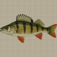 yellow-perch-perca-flaves full cross stitch design mockup without frame, realistic embroidery preview