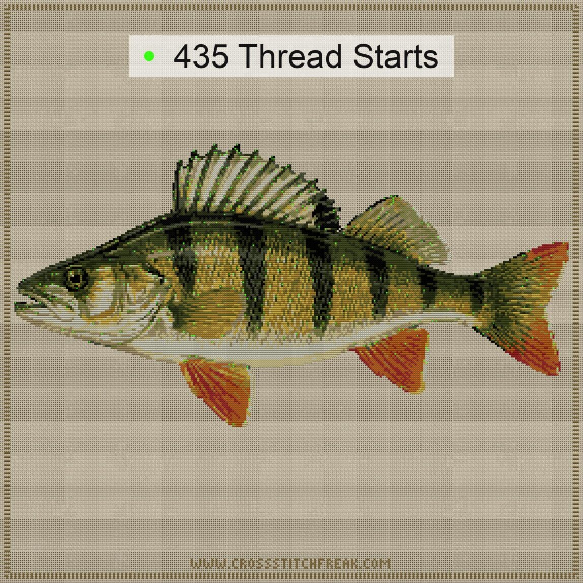 yellow-perch-perca-flaves cross stitch start point map with highlighted thread start positions in the full design