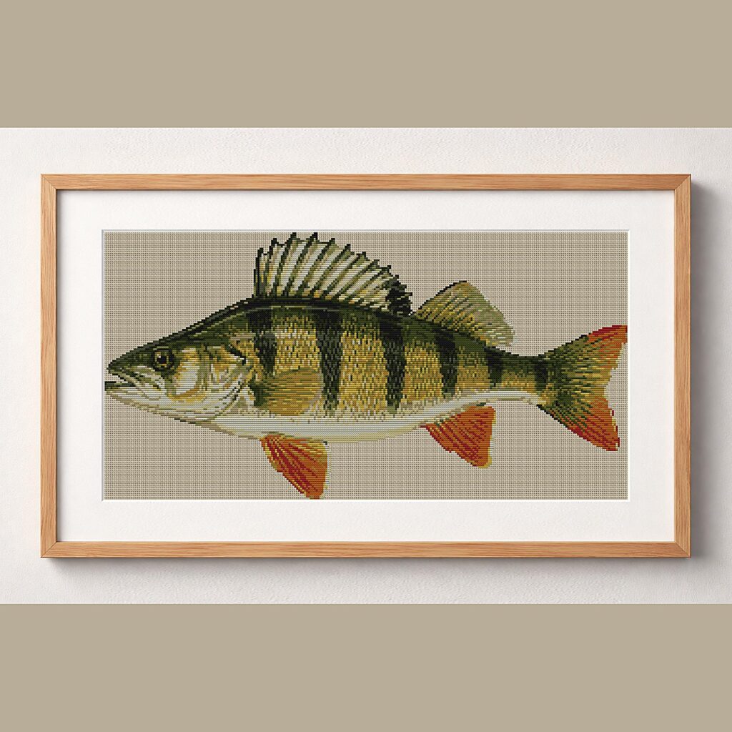 yellow-perch-perca-flaves framed cross stitch mockup, realistic finished embroidery design, PDF pattern digital download