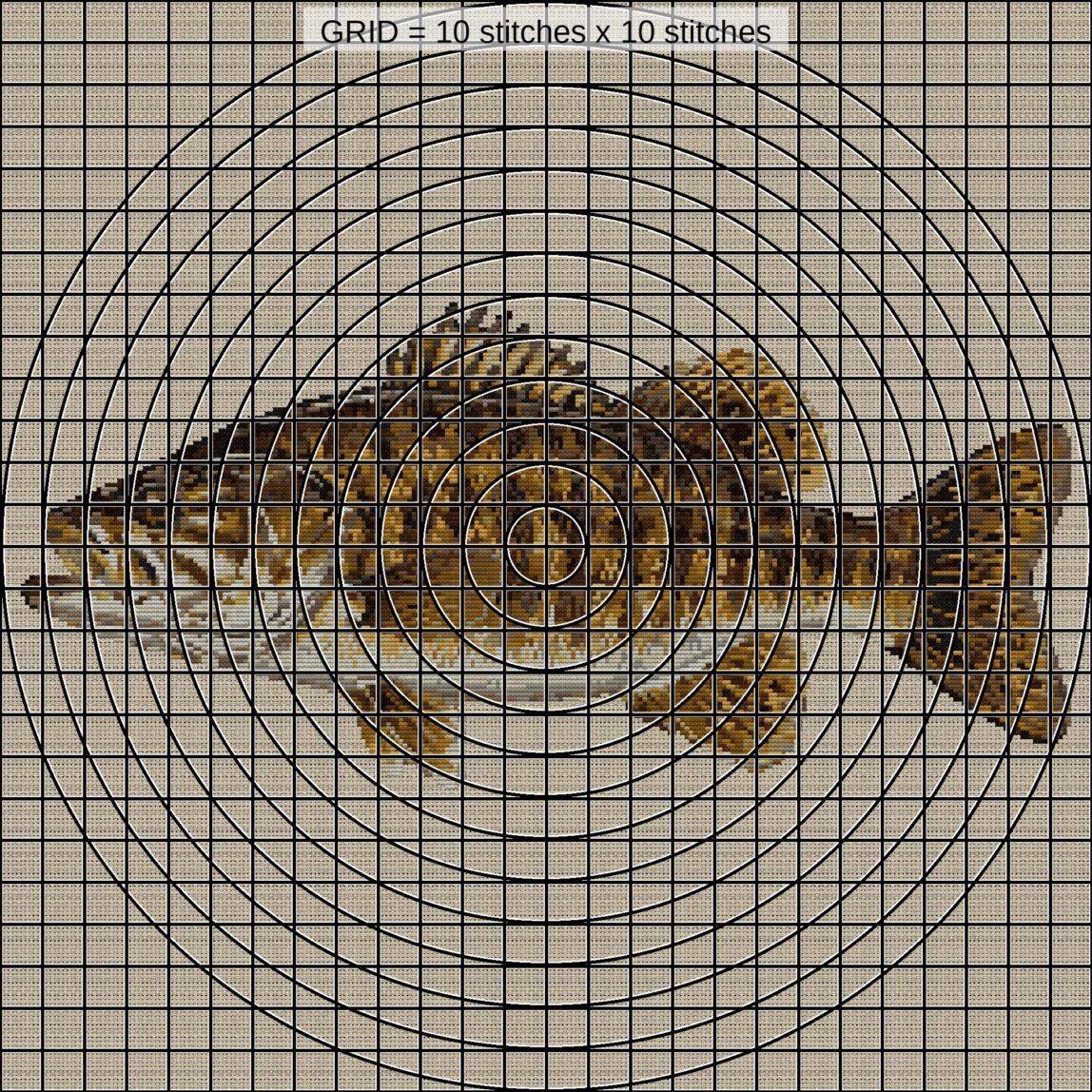 smallmouth-bass-micropter zoomed stitching detail smallmouth-bass-micropter close-up cross stitch detail showing color changes, confetti areas and stitch texture