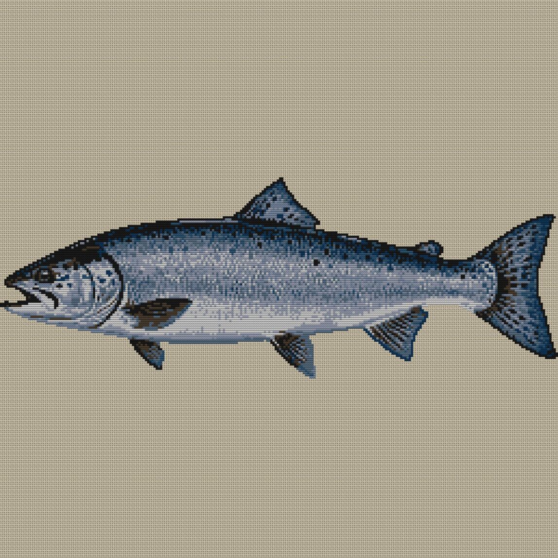 atlantic-salmon-salmo-sal full design mockup without frame atlantic-salmon-salmo-sal full cross stitch design mockup without frame, realistic embroidery preview