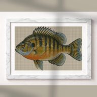 pumpkinseed-lepomis-gibbo alternative framed cross stitch mockup, realistic finished embroidery presentation