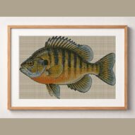 pumpkinseed-lepomis-gibbo framed cross stitch mockup, realistic finished embroidery design, PDF pattern digital download