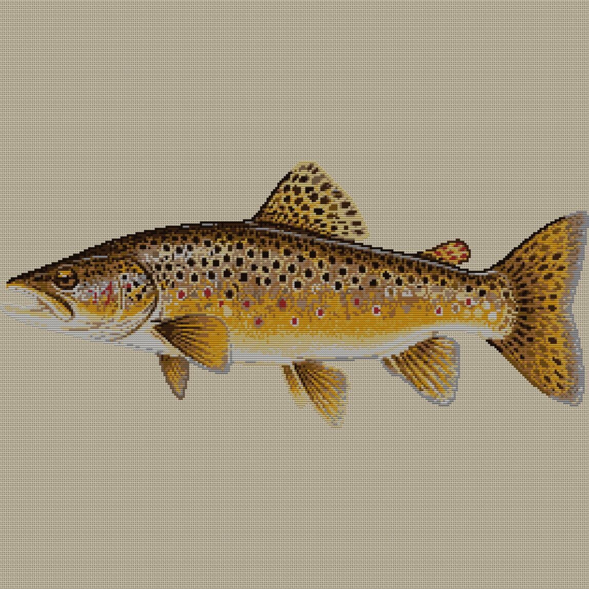 brown-trout-salmo-trutta full design mockup without frame brown-trout-salmo-trutta full cross stitch design mockup without frame, realistic embroidery preview