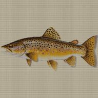 brown-trout-salmo-trutta full cross stitch design mockup without frame, realistic embroidery preview