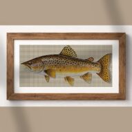 brown-trout-salmo-trutta alternative framed cross stitch mockup, realistic finished embroidery presentation