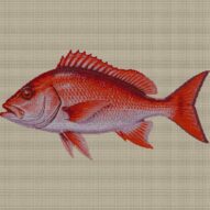 golden-redfish-sebastes-n full cross stitch design mockup without frame, realistic embroidery preview