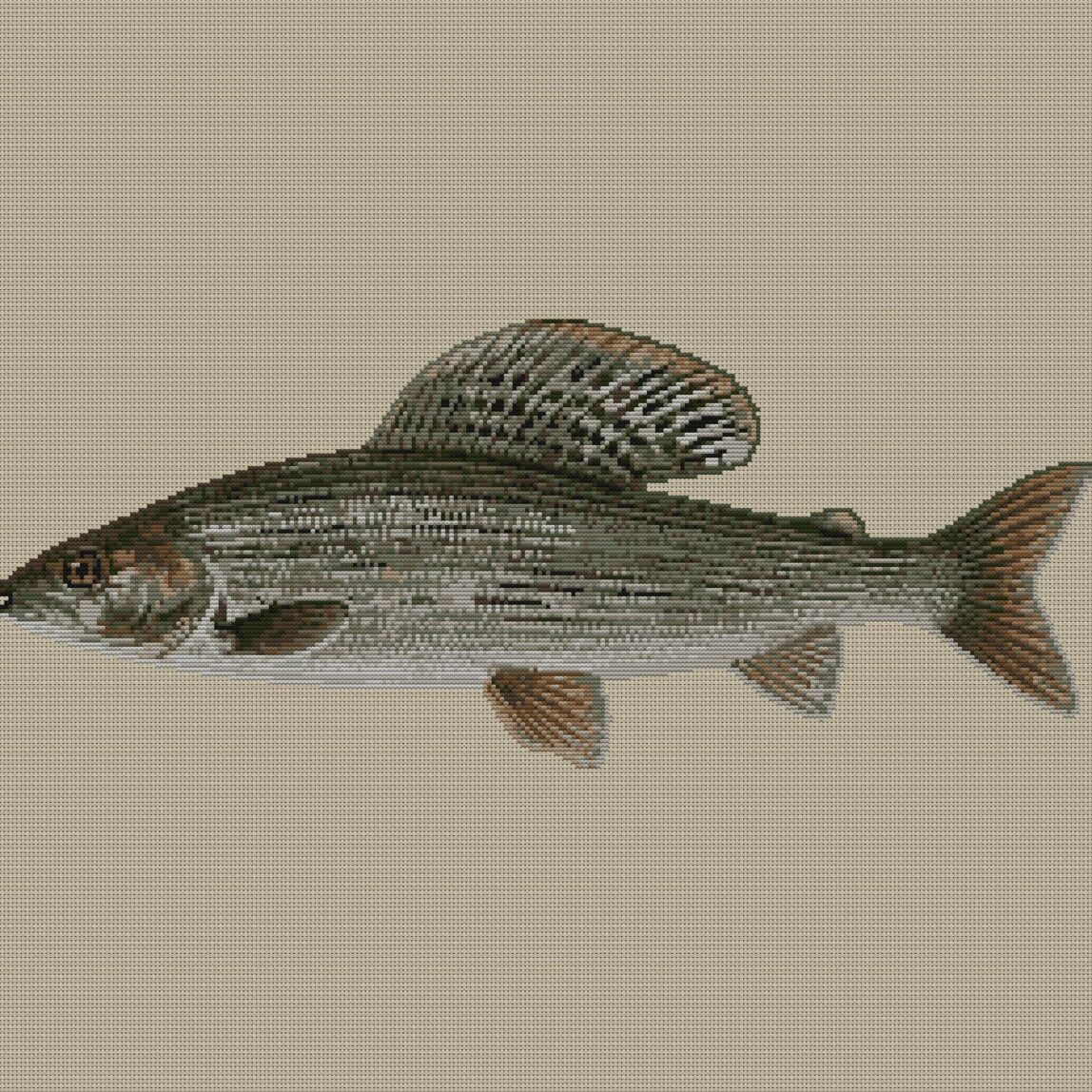 european-grayling-thymall full design mockup without frame european-grayling-thymall full cross stitch design mockup without frame, realistic embroidery preview