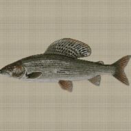 european-grayling-thymall full cross stitch design mockup without frame, realistic embroidery preview