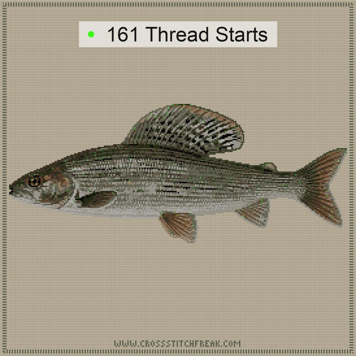 european-grayling-thymall thread start point map european-grayling-thymall cross stitch start point map with highlighted thread start positions in the full design
