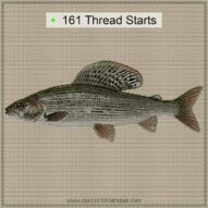 european-grayling-thymall cross stitch start point map with highlighted thread start positions in the full design
