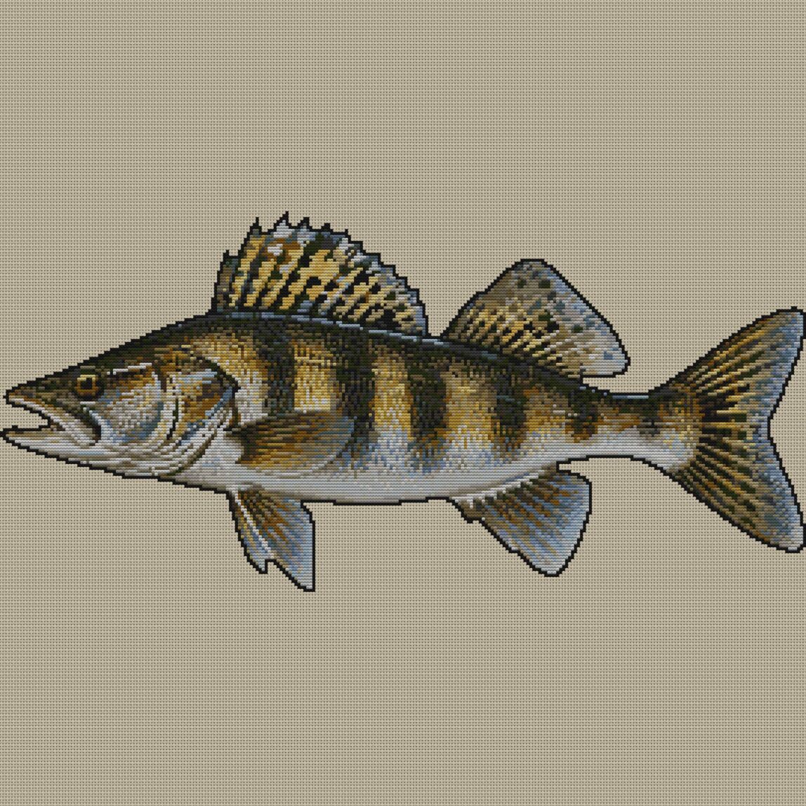 zander-sander-lucioperca full design mockup without frame zander-sander-lucioperca full cross stitch design mockup without frame, realistic embroidery preview