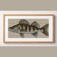 zander-sander-lucioperca framed cross stitch mockup, realistic finished embroidery design, PDF pattern digital download